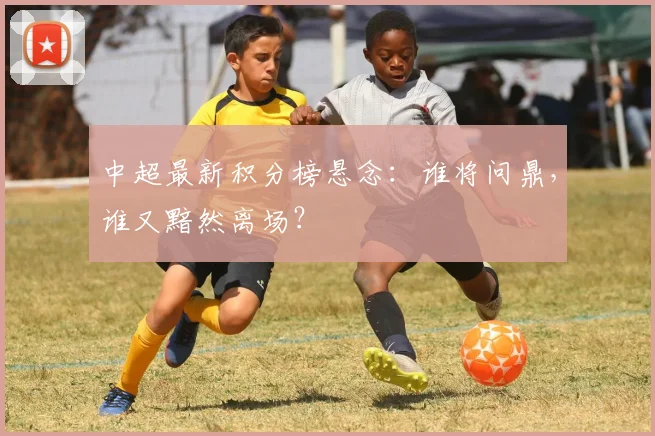 中超最新积分榜悬念:谁将问鼎,谁又黯然离场?